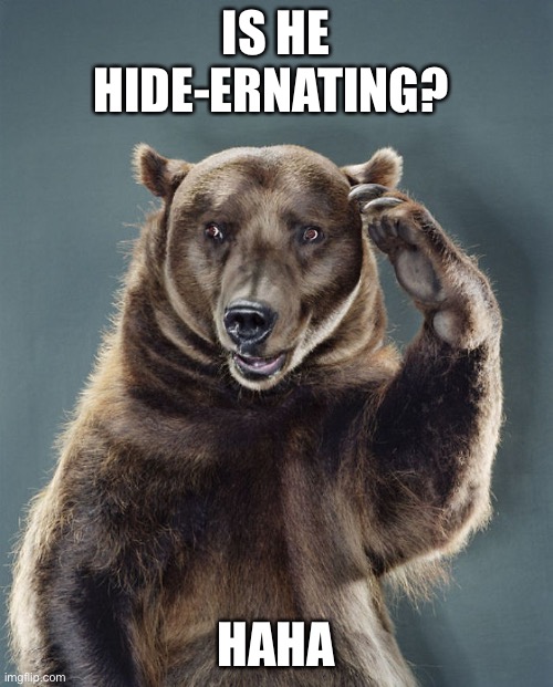 IS HE HIDE-ERNATING? HAHA | made w/ Imgflip meme maker