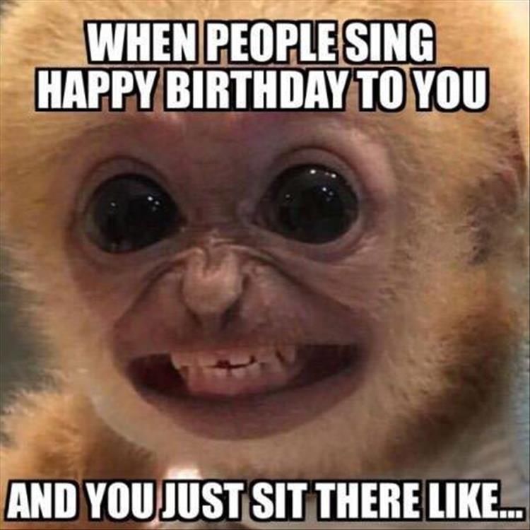 Birthday Monkey Blank Meme Template