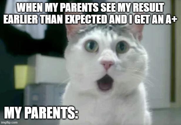 true story | WHEN MY PARENTS SEE MY RESULT EARLIER THAN EXPECTED AND I GET AN A+; MY PARENTS: | image tagged in memes,omg cat | made w/ Imgflip meme maker