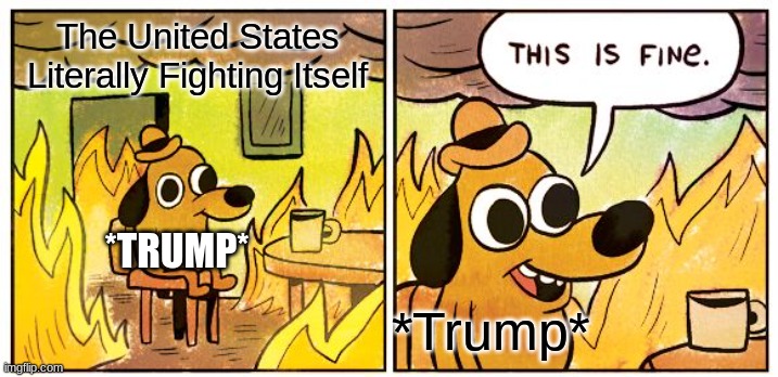 America Is Great | The United States Literally Fighting Itself; *TRUMP*; *Trump* | image tagged in memes,this is fine | made w/ Imgflip meme maker