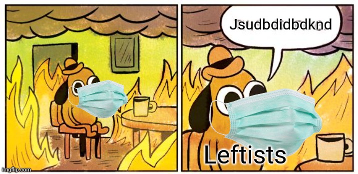 This Is Fine Meme | Jsudbdidbdknd Leftists | image tagged in memes,this is fine | made w/ Imgflip meme maker