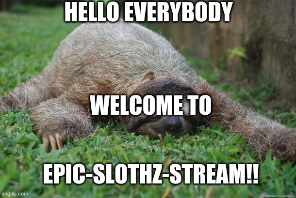 Sleeping sloth | HELLO EVERYBODY; WELCOME TO; EPIC-SLOTHZ-STREAM!! | image tagged in sleeping sloth | made w/ Imgflip meme maker