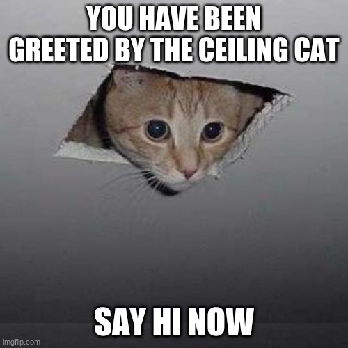 hi | YOU HAVE BEEN GREETED BY THE CEILING CAT; SAY HI NOW | image tagged in memes,ceiling cat | made w/ Imgflip meme maker