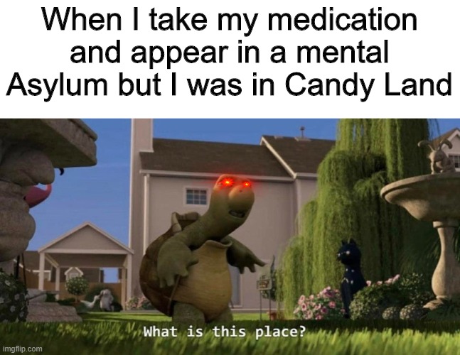 Wow | When I take my medication and appear in a mental Asylum but I was in Candy Land | image tagged in what is this place | made w/ Imgflip meme maker