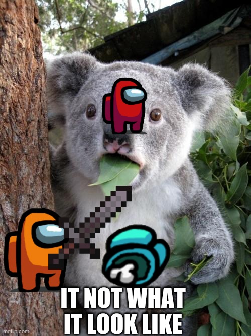 Surprised Koala | IT NOT WHAT IT LOOK LIKE | image tagged in memes,surprised koala | made w/ Imgflip meme maker