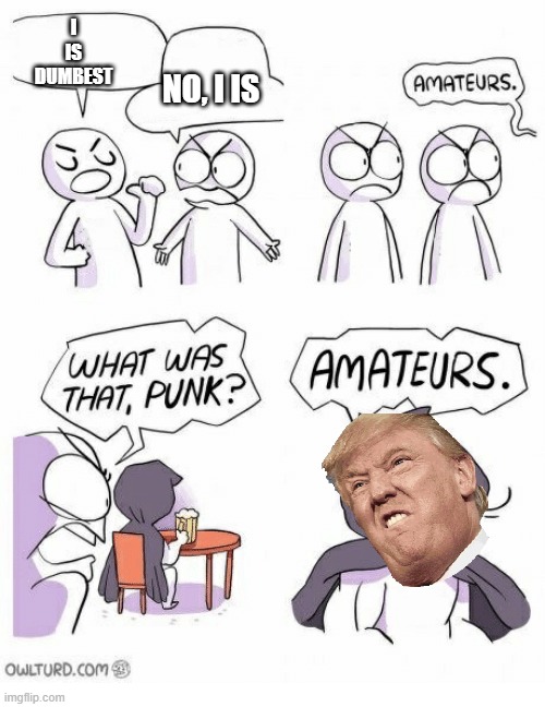 Amateurs | I IS DUMBEST; NO, I IS | image tagged in amateurs | made w/ Imgflip meme maker