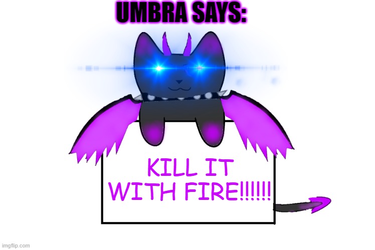 UMBRA SAYS:; KILL IT WITH FIRE!!!!!! | image tagged in umbra holding sign | made w/ Imgflip meme maker