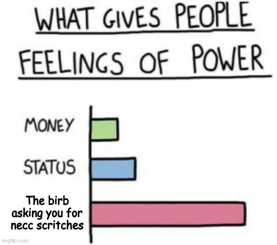 What Gives People Feelings of Power | The birb asking you for necc scritches | image tagged in what gives people feelings of power | made w/ Imgflip meme maker