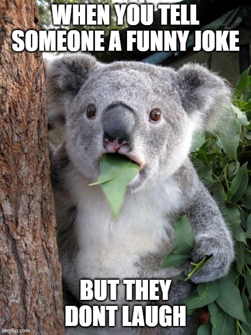 R.I.P Jokes | WHEN YOU TELL SOMEONE A FUNNY JOKE; BUT THEY DONT LAUGH | image tagged in memes,surprised koala,jokes | made w/ Imgflip meme maker