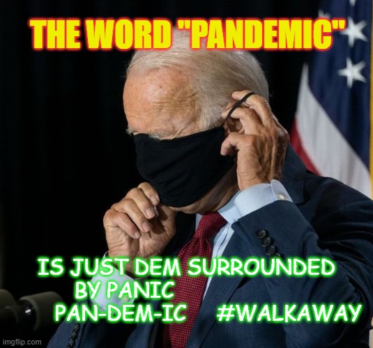 Biden mask | THE WORD "PANDEMIC"; IS JUST DEM SURROUNDED BY PANIC                            PAN-DEM-IC     #WALKAWAY | image tagged in biden mask | made w/ Imgflip meme maker