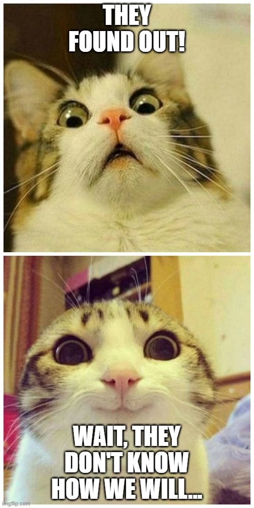 Scared Cat to Happy Cat | THEY FOUND OUT! WAIT, THEY DON'T KNOW HOW WE WILL... | image tagged in scared cat to happy cat | made w/ Imgflip meme maker