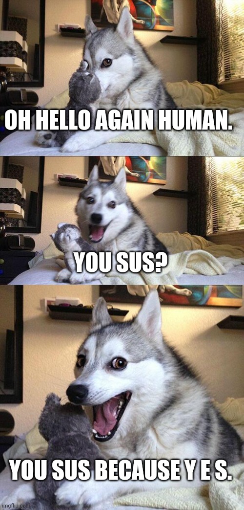 You sus???? | OH HELLO AGAIN HUMAN. YOU SUS? YOU SUS BECAUSE Y E S. | image tagged in memes,bad pun dog | made w/ Imgflip meme maker