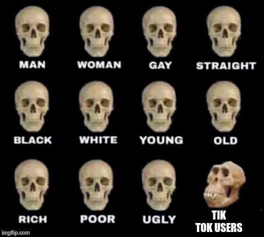 idiot skull | TIK TOK USERS | image tagged in idiot skull | made w/ Imgflip meme maker