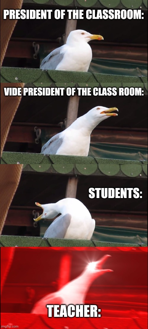 Students | PRESIDENT OF THE CLASSROOM:; VIDE PRESIDENT OF THE CLASS ROOM:; STUDENTS:; TEACHER: | image tagged in memes,inhaling seagull | made w/ Imgflip meme maker