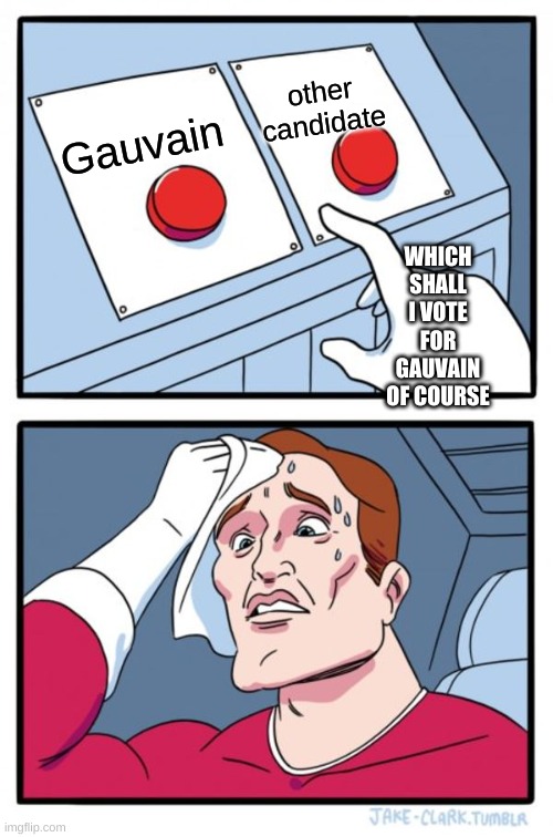 vote Gauvain |  other candidate; Gauvain; WHICH SHALL I VOTE FOR GAUVAIN OF COURSE | image tagged in memes,two buttons | made w/ Imgflip meme maker