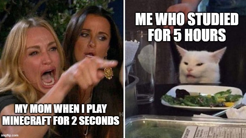 Karen vs Table Cat | ME WHO STUDIED FOR 5 HOURS; MY MOM WHEN I PLAY MINECRAFT FOR 2 SECONDS | image tagged in karen vs table cat | made w/ Imgflip meme maker