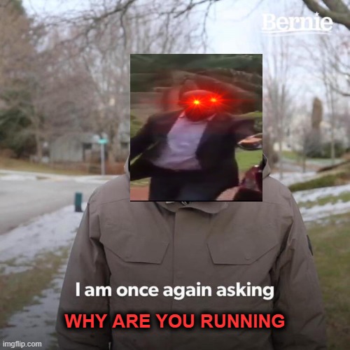 Bernie I Am Once Again Asking For Your Support Meme | WHY ARE YOU RUNNING | image tagged in memes,bernie i am once again asking for your support | made w/ Imgflip meme maker