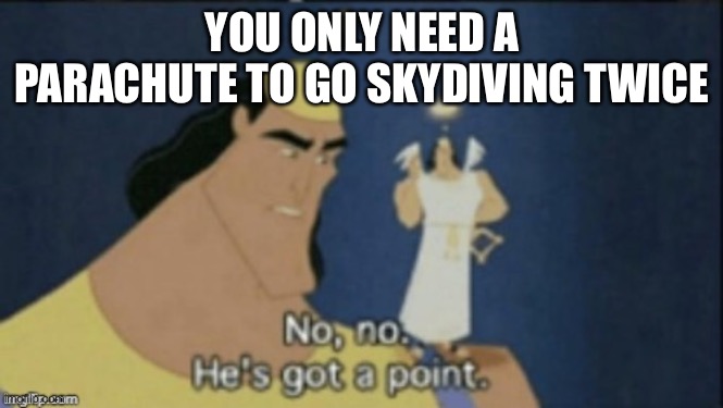 NO NO HE’S GOT A POINT | YOU ONLY NEED A PARACHUTE TO GO SKYDIVING TWICE | image tagged in no no hes got a point | made w/ Imgflip meme maker