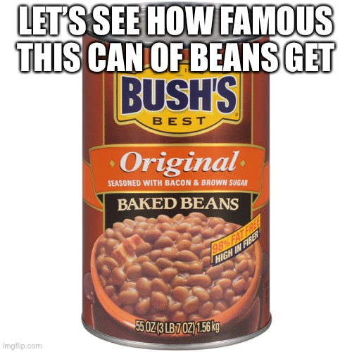 E | LET’S SEE HOW FAMOUS THIS CAN OF BEANS GET | image tagged in a | made w/ Imgflip meme maker