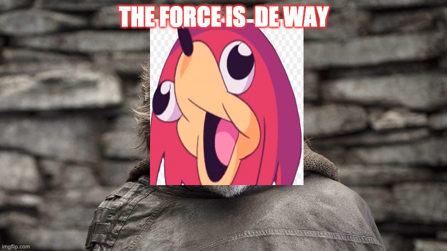 The force is de way | THE FORCE IS  DE WAY | image tagged in unganda knuckles | made w/ Imgflip meme maker