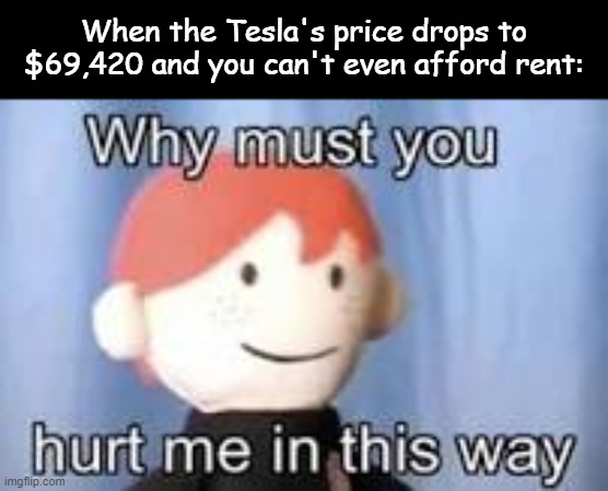 Why must you hurt me in this way | When the Tesla's price drops to $69,420 and you can't even afford rent: | image tagged in why must you hurt me in this way | made w/ Imgflip meme maker