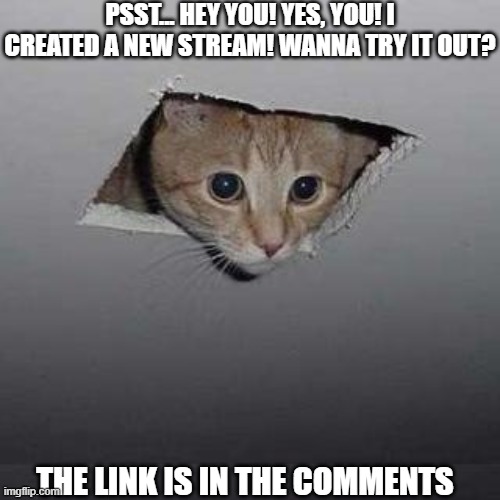 Ceiling Cat Meme Imgflip