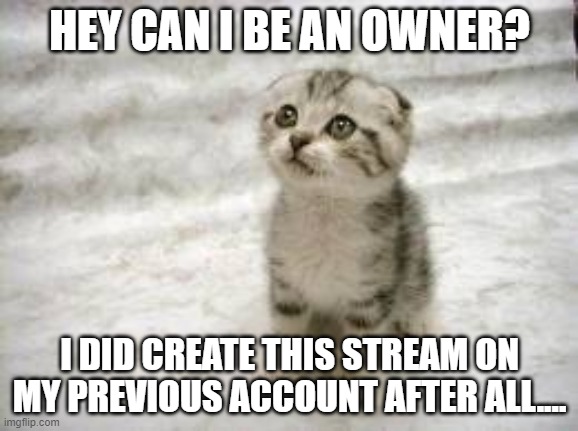 Sad Cat | HEY CAN I BE AN OWNER? I DID CREATE THIS STREAM ON MY PREVIOUS ACCOUNT AFTER ALL.... | image tagged in memes,sad cat | made w/ Imgflip meme maker