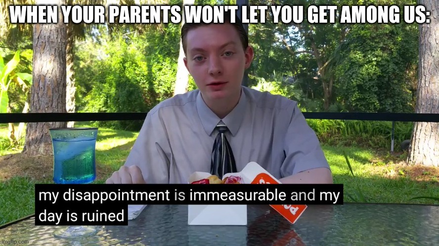 My Disappointment Is Immeasurable | WHEN YOUR PARENTS WON'T LET YOU GET AMONG US: | image tagged in my disappointment is immeasurable | made w/ Imgflip meme maker