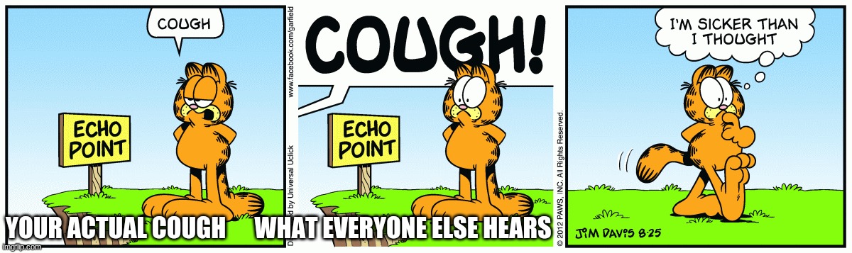 covid in a nutshell | YOUR ACTUAL COUGH      WHAT EVERYONE ELSE HEARS | image tagged in covid-19 | made w/ Imgflip meme maker