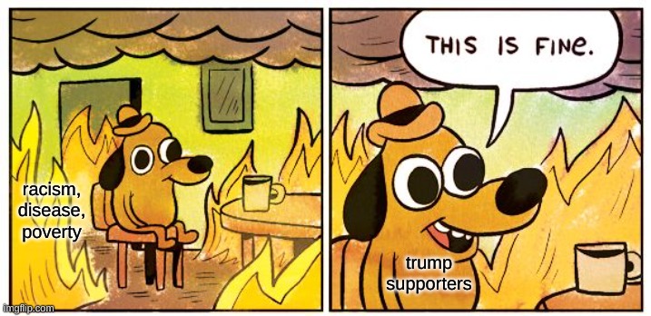 This Is Fine Meme | racism, disease, poverty trump supporters | image tagged in memes,this is fine | made w/ Imgflip meme maker