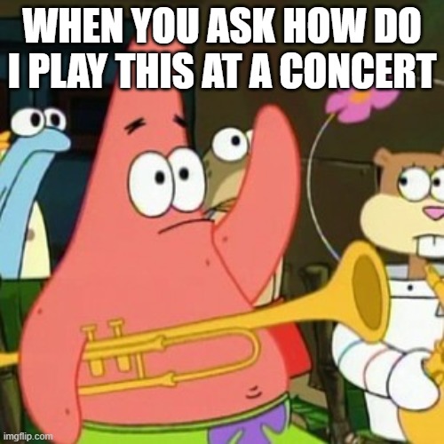 No Patrick Meme | WHEN YOU ASK HOW DO I PLAY THIS AT A CONCERT | image tagged in memes,no patrick | made w/ Imgflip meme maker