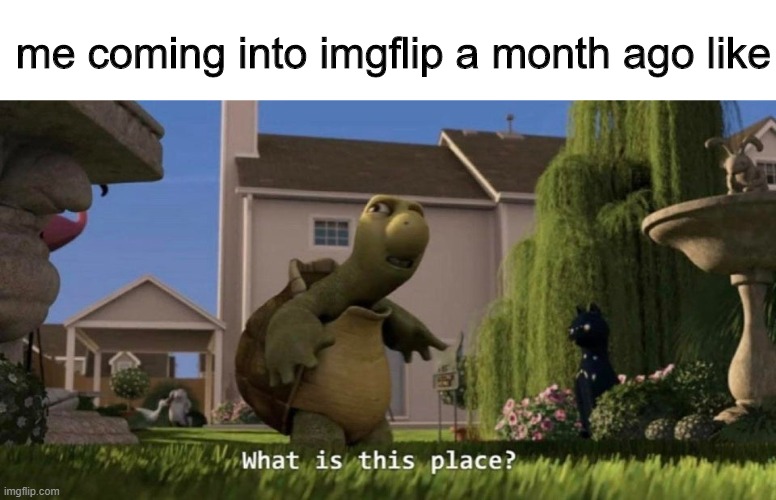 wHaT iS tHiS pLaCe | me coming into imgflip a month ago like | image tagged in what is this place | made w/ Imgflip meme maker