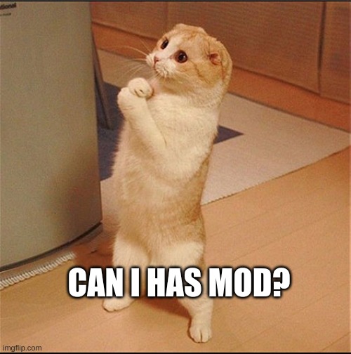 Can I Has Food | CAN I HAS MOD? | image tagged in can i has food | made w/ Imgflip meme maker