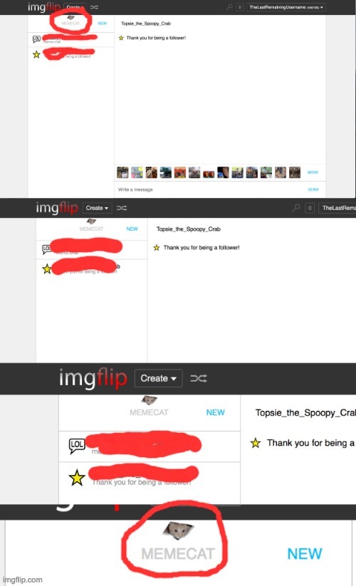 I found an easter egg with the meme chat (repost of my own image) | made w/ Imgflip meme maker