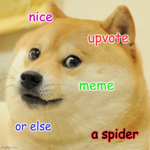 Doge Meme | nice upvote meme or else a spider | image tagged in memes,doge | made w/ Imgflip meme maker