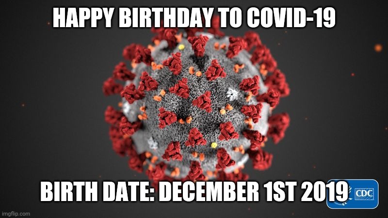 Happy 1st Anniversary COVID-19! 2019-2020 | HAPPY BIRTHDAY TO COVID-19; BIRTH DATE: DECEMBER 1ST 2019 | image tagged in covid 19 | made w/ Imgflip meme maker