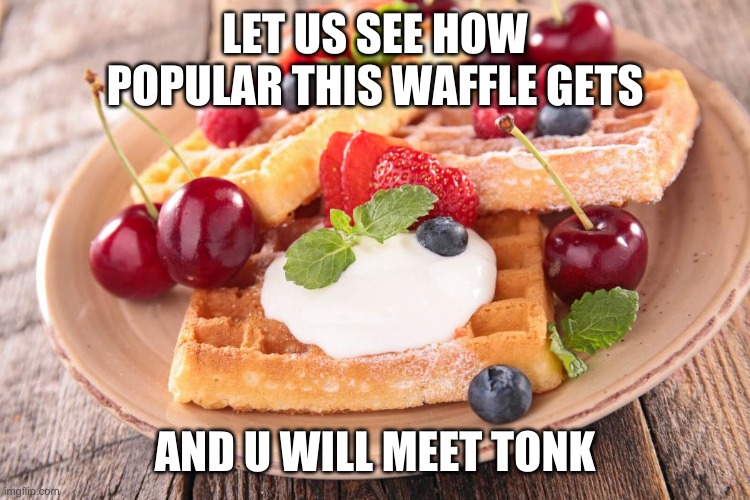 waffles are yummy | LET US SEE HOW POPULAR THIS WAFFLE GETS; AND U WILL MEET TONK | image tagged in funny memes | made w/ Imgflip meme maker