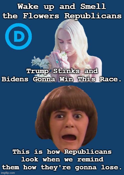 WE'RE GOING TO CRUSH THE REPUBLICANS IN EVERY RACE. AMERICA IS NO COUNTRY FOR CRY BABIES LIKE DONALD WHO'LL BE TRUMPED IN 2020. | Wake up and Smell the Flowers Republicans; Trump Stinks and Bidens Gonna Win This Race. This is how Republicans look when we remind them how they're gonna lose. | image tagged in democrats win 2020,republican losers | made w/ Imgflip meme maker