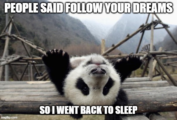 Panda | PEOPLE SAID FOLLOW YOUR DREAMS; SO I WENT BACK TO SLEEP | image tagged in follow your dreams,panda | made w/ Imgflip meme maker