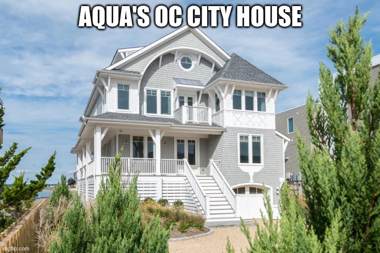 Aqua: Yes, I live by sider beach. | AQUA'S OC CITY HOUSE | made w/ Imgflip meme maker