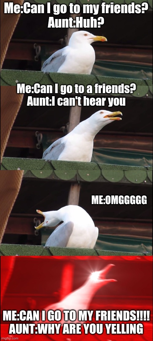 Inhaling Seagull Meme | Me:Can I go to my friends?
Aunt:Huh? Me:Can I go to a friends?
Aunt:I can't hear you; ME:OMGGGGG; ME:CAN I GO TO MY FRIENDS!!!!
AUNT:WHY ARE YOU YELLING | image tagged in memes,inhaling seagull | made w/ Imgflip meme maker