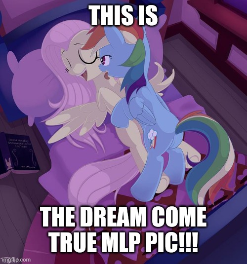 Æ | THIS IS; THE DREAM COME TRUE MLP PIC!!! | image tagged in mlp fim,random | made w/ Imgflip meme maker