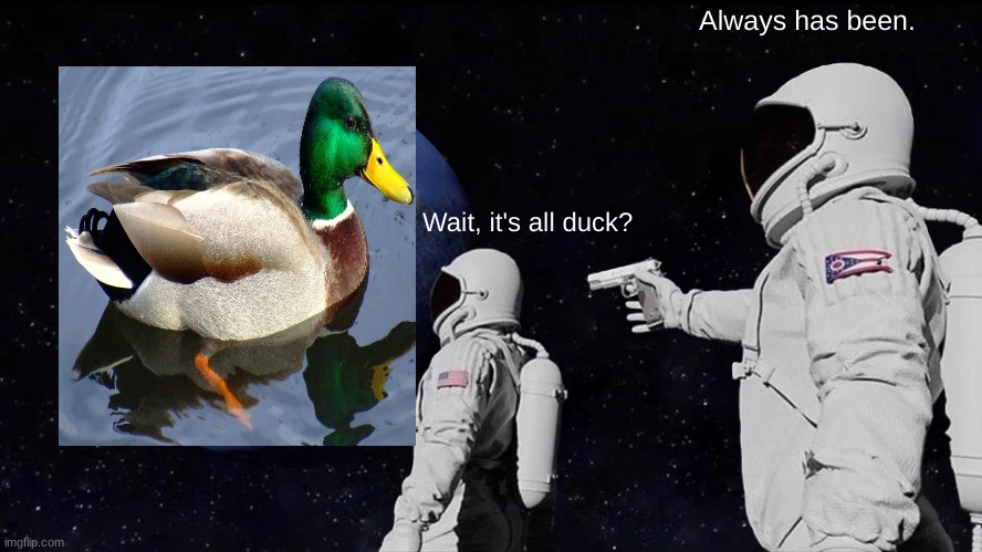 duck | Always has been. Wait, it's all duck? | image tagged in memes,always has been | made w/ Imgflip meme maker