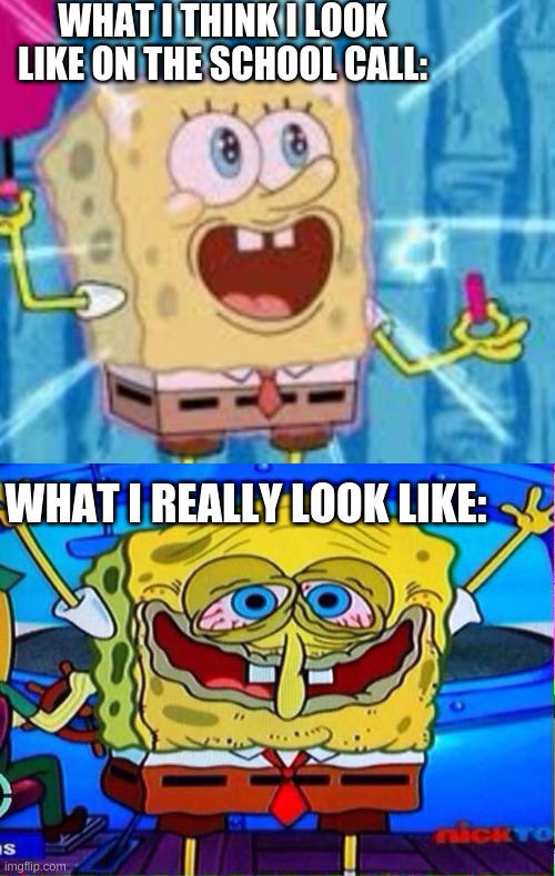 WHAT I THINK I LOOK LIKE ON THE SCHOOL CALL:; WHAT I REALLY LOOK LIKE: | image tagged in funny | made w/ Imgflip meme maker