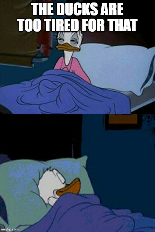 sleepy donald duck in bed | THE DUCKS ARE TOO TIRED FOR THAT | image tagged in sleepy donald duck in bed | made w/ Imgflip meme maker