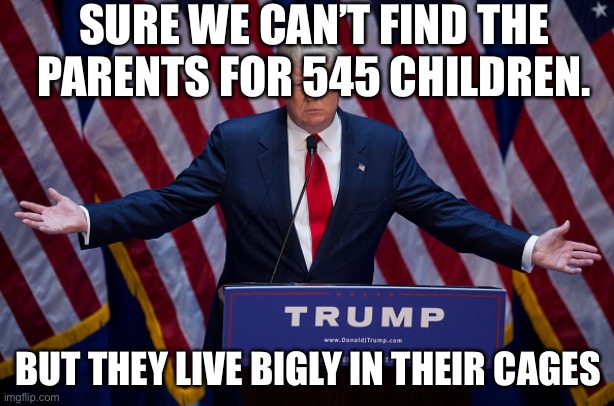 Donald Trump | SURE WE CAN’T FIND THE PARENTS FOR 545 CHILDREN. BUT THEY LIVE BIGLY IN THEIR CAGES | image tagged in donald trump | made w/ Imgflip meme maker
