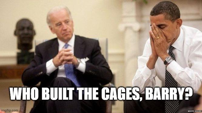 Biden Obama | WHO BUILT THE CAGES, BARRY? | image tagged in biden obama | made w/ Imgflip meme maker