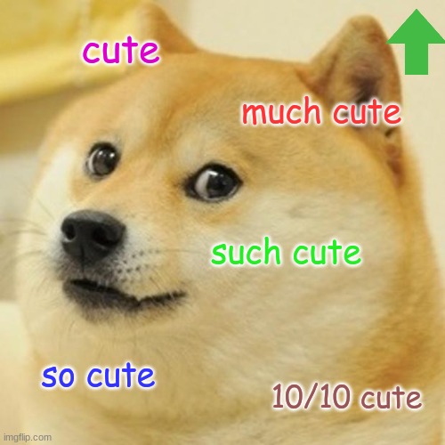 Doge Meme | cute much cute such cute so cute 10/10 cute | image tagged in memes,doge | made w/ Imgflip meme maker