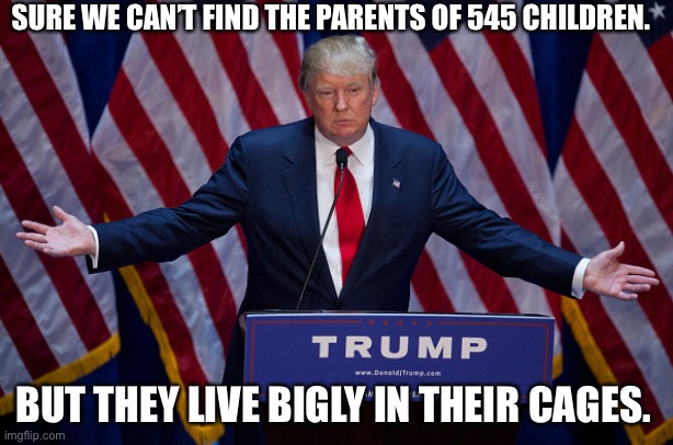 Donald Trump | SURE WE CAN’T FIND THE PARENTS OF 545 CHILDREN. BUT THEY LIVE BIGLY IN THEIR CAGES. | image tagged in donald trump | made w/ Imgflip meme maker