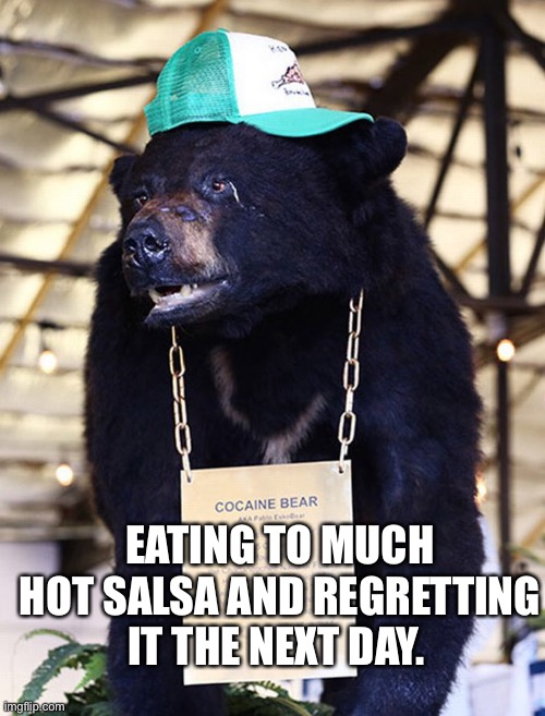 EATING TO MUCH HOT SALSA AND REGRETTING IT THE NEXT DAY. | made w/ Imgflip meme maker
